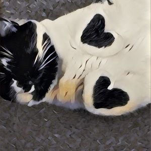 Meet your Posher, Bristol